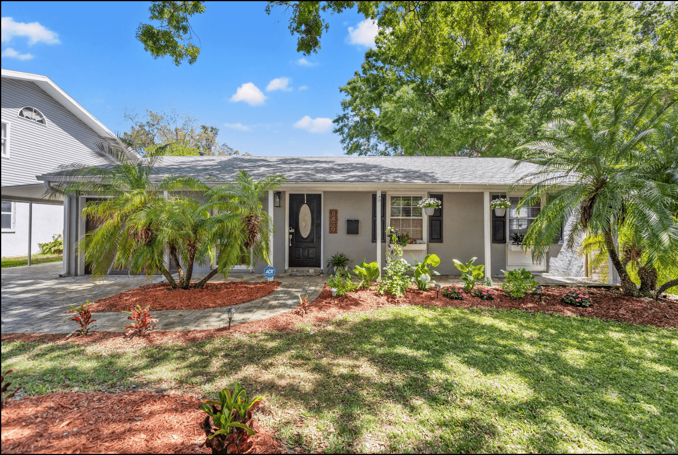 Elegant living room interior